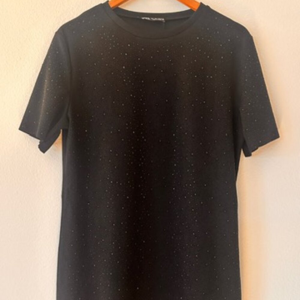 Zara Shift Dress